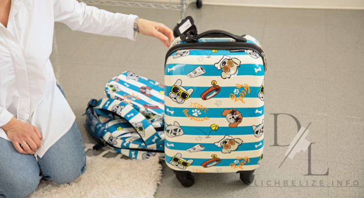 Colorful kiddie luggage